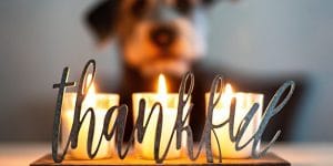 thankful gratitude candles with dog in background picture id1066730620