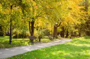 walking trail in park