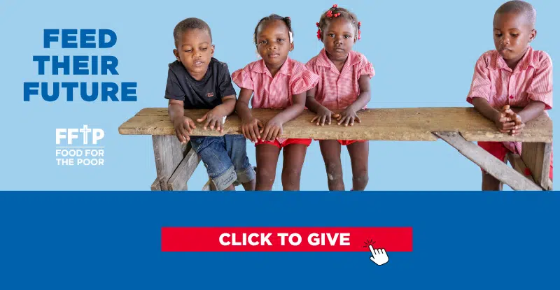 _STAR NETWORK 800 X 415