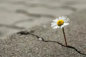 offer hope