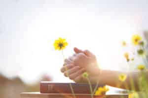 prayer flowers